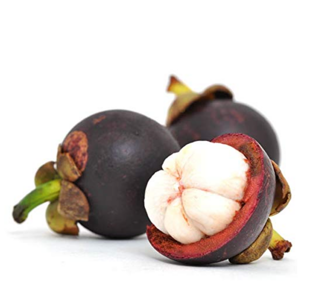 Candle to Cocktail-  Tropical Mangosteen