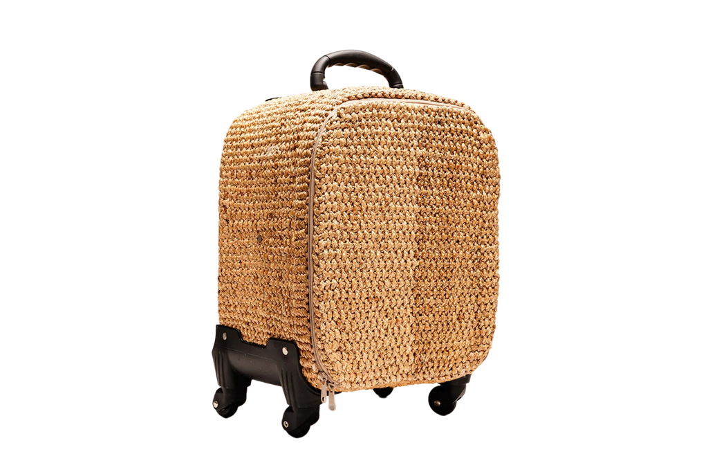 Preorder Handwoven Palm Print Luggage